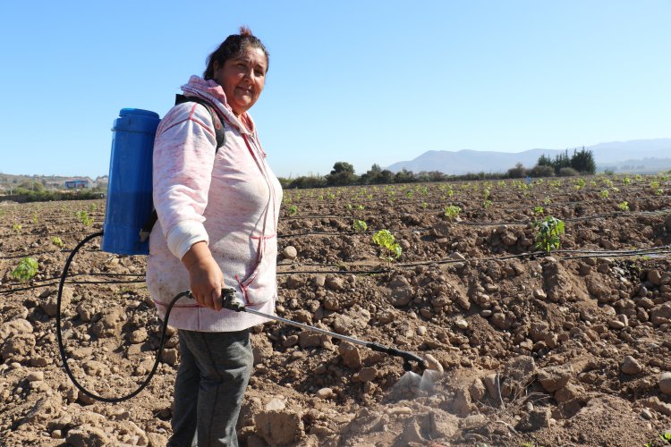 Gobierno Regional destina $4 mil millones para generar 2 mil cupos de empleo en las 15 comunas de la región Gobierno Regional destina $4 mil millones para generar 2 mil cupos de empleo en las 15 comunas de la región