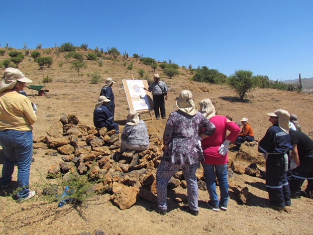 En Paihuano, Monte Patria, Combarbalá y Canela se desarrollará proyecto de manejo sustentable de la tierra