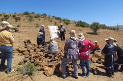 En Paihuano, Monte Patria, Combarbalá y Canela se desarrollará proyecto de manejo sustentable de la tierra