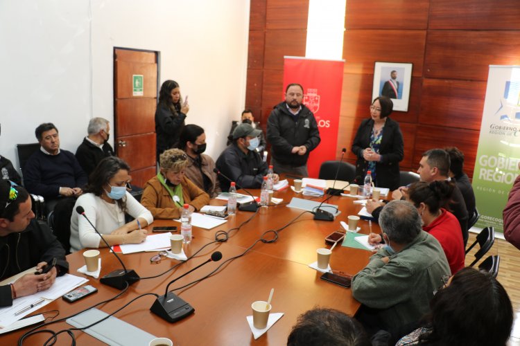 Gobernadora, alcalde, concejales y organizaciones sociales dicen “basta” a la contaminación en Los Vilos