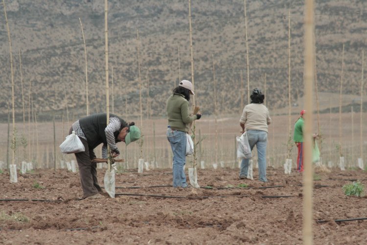 Gobernadora presenta nuevo y fortalecido programa de empleabilidad regional para disminuir cifras de cesantía