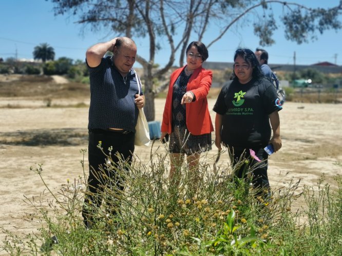 Ejecutan proyecto de Reforestación y Educación Ambiental en Parque el Culebrón de Coquimbo