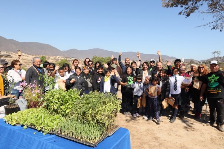 Destacan exitoso proyecto de reforestación y educación ambiental en Ovalle, Coquimbo y Canela