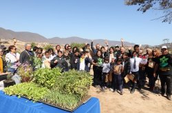 En el Culebrón de Coquimbo valoran proyecto de reforestación que ha dado vida a lugar abandonado