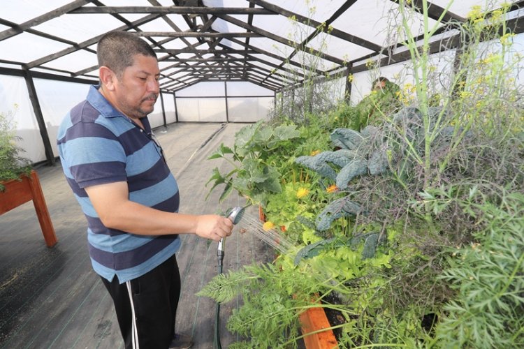 En el Culebrón de Coquimbo valoran proyecto de reforestación que ha dado vida a lugar abandonado