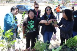 Proyecto de reforestación y educación ambiental permite recuperar áreas verdes en Parque El Culebrón