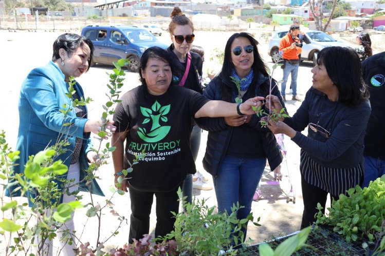 Proyecto de reforestación y educación ambiental permite recuperar áreas verdes en Parque El Culebrón