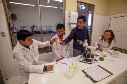 Concurso FRPD 2025