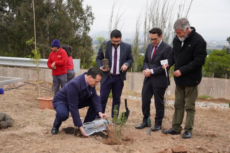 Gobernador rinde Cuenta Pública de Cambio Climático y destaca inversión superior a $14 mil millones Gobernador rinde Cuenta Pública de Cambio Climático y destaca inversión superior a $14 mil millones