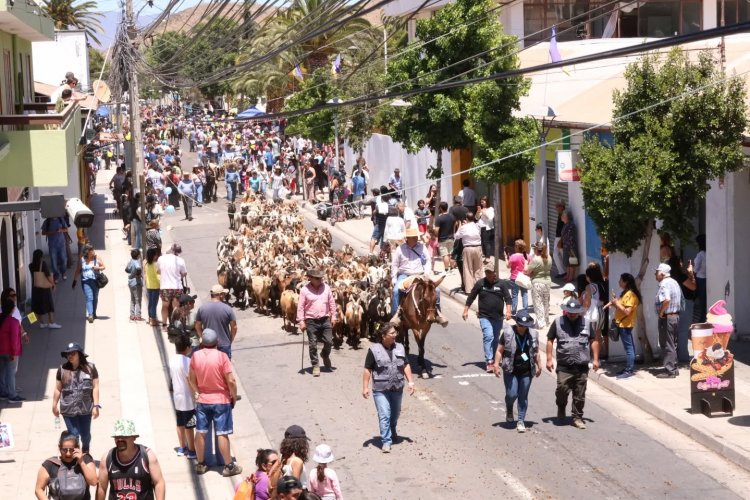 Invitan a celebrar la XV versión del Día de la Trashumancia y del Criancero Caprino en Illapel