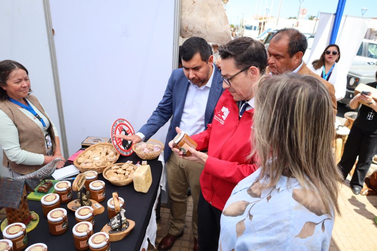 Invitan a celebrar la XV versión del Día de la Trashumancia y del Criancero Caprino en Illapel